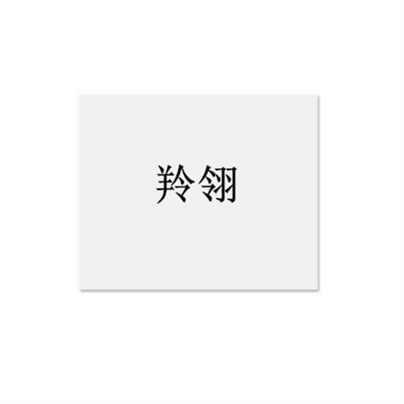 羚翎 120×80mm 标签(计价单位:个)白色图片