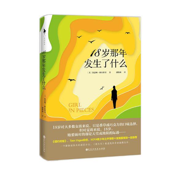 [醉染正版]18岁那年发生了什么(一个徘徊在街头的迷茫少女,《猜火车》般迷乱的青春速燃全美。)青少年初中高中励志外国文学高清大图