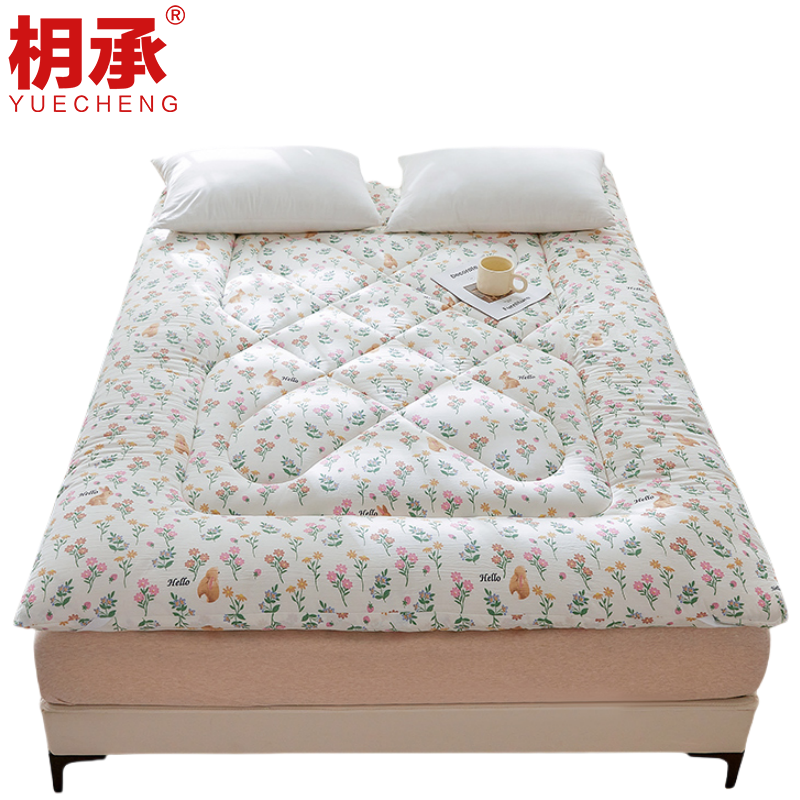 枂承床褥褥子床垫100*200cm张高清大图