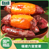 【苏鲜生】福建六鳌蜜薯 净重5斤 大果 红心糖心蜜薯 新鲜农家沙地超甜地瓜山芋
