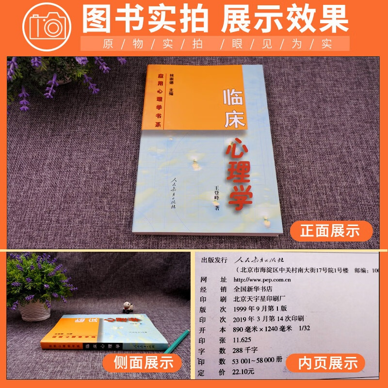 心理学书籍 应用心理学临床心理学 王登峰347心理学考研书籍全套2023专硕 人民教育林崇