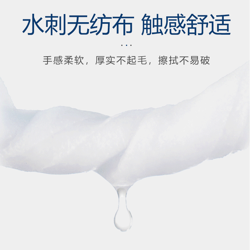 中秋礼盒蓝色多瑙河465g+乙醇杀菌卫生湿巾60抽