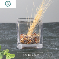 木子晶正方形水培玻璃器皿透明方缸绿萝水养植物鱼缸摆件花盆花瓶 封后 10×10正方形缸