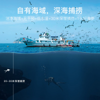 久年6A大连淡干海参干货250g野生辽刺参非即食特价深海老人小孩孕妇营养健康25-35头