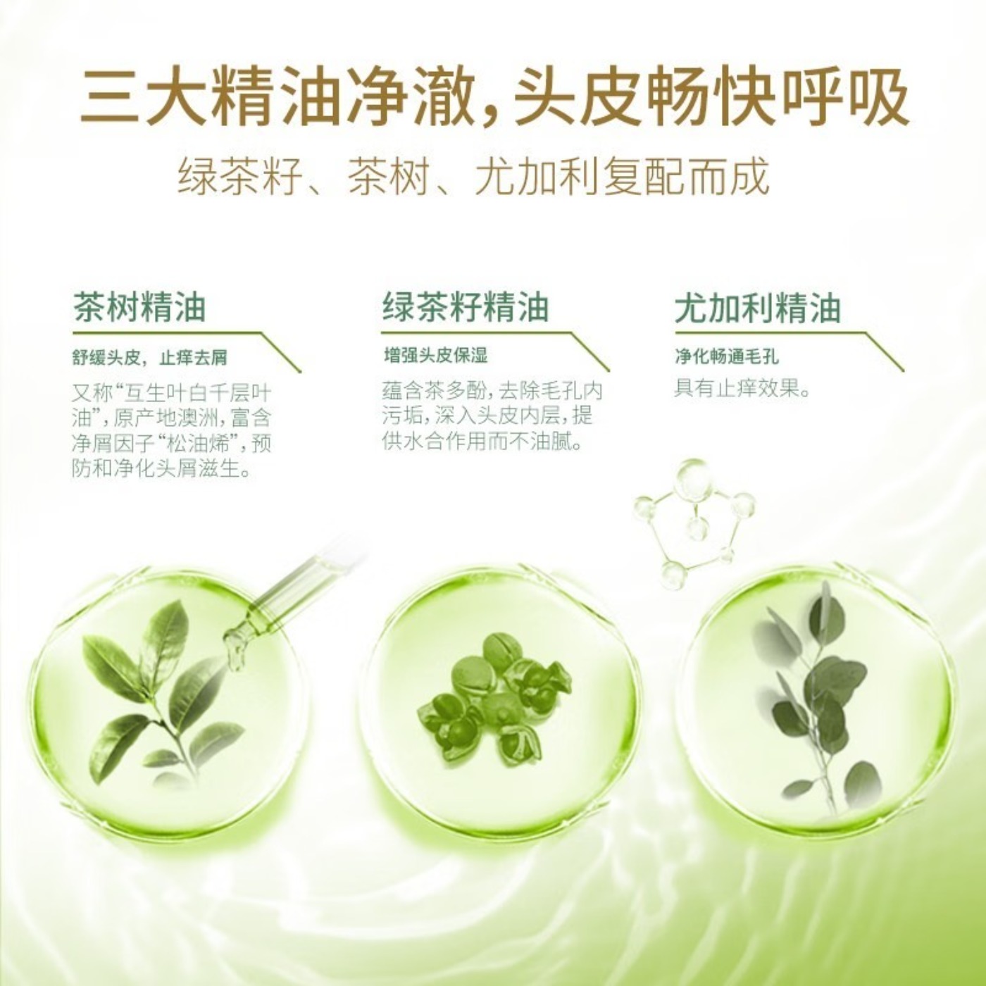 舒蕾洗发水绿茶籽清爽控油去屑清洁洗发露控油去屑洗发水 绿茶籽洗发露 300ml高清大图