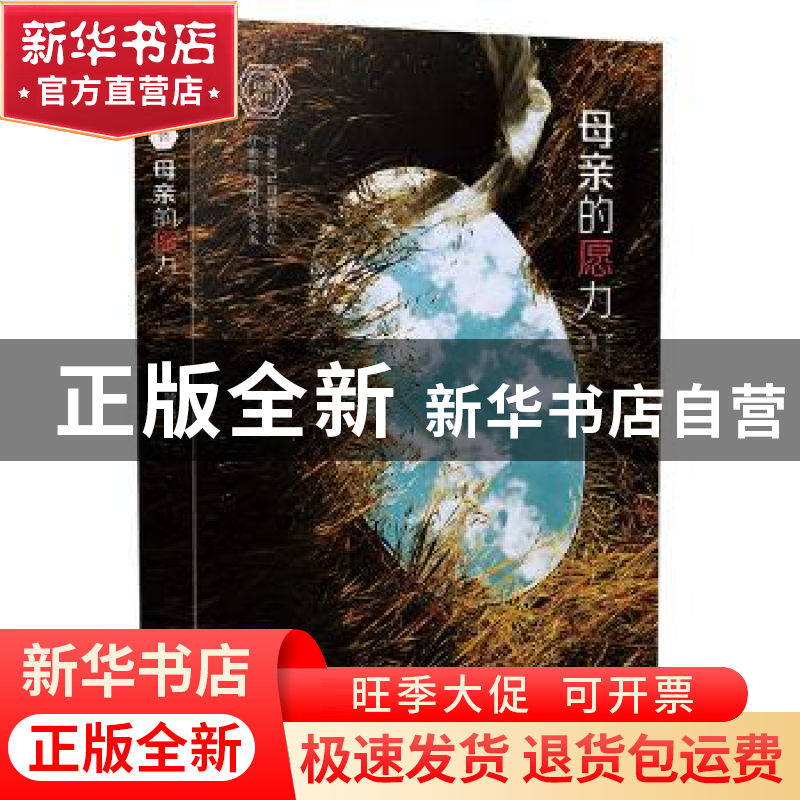 正版 母亲的愿力 赵婕 漓江出版社 9787540787301 书籍高清大图
