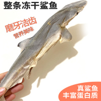 狂的主人宠物狗狗零食冻干小鲨鱼磨牙耐啃营养大小型犬通用猫鱼肉洁齿亮毛
