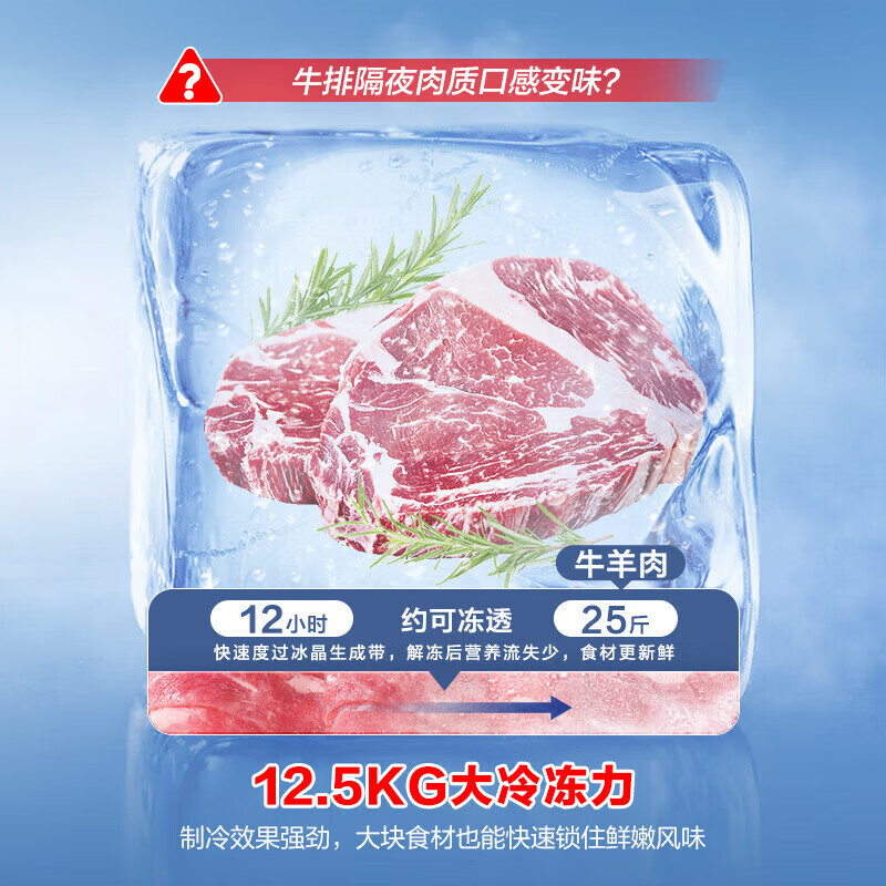 容声(Ronshen)350升大容量冰柜冷藏冷冻转换单温冷柜 厨房卧式冷冻柜 BD/BC-350E10HNLAD 350高清大图