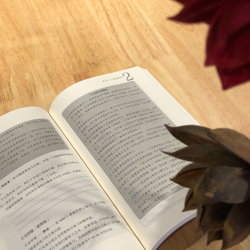 [正版]万千心理 八周正念之旅 摆脱抑郁与情绪压力 John Teasdale博士等 著 心理学高清大图