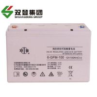 双登铅酸蓄电池6-GFM-100