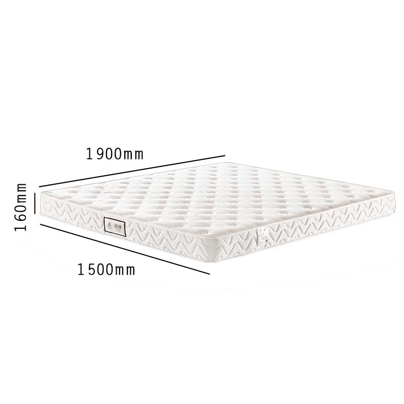 利特莱依压缩卷包床垫席梦思独立弹簧天然乳胶超软折叠薄款S3/软硬两用[天然乳胶+布袋簧+硬质绵]厚约16cm1500高清大图