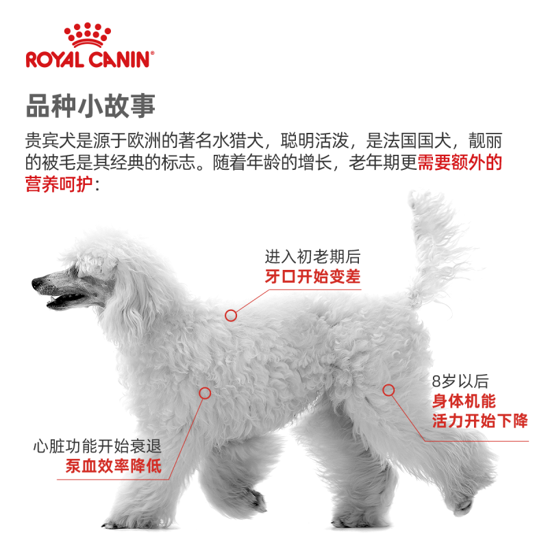 皇家品牌狗粮贵宾犬官方授权PDA26老年犬粮3kg小型犬贵宾泰迪专用宠物狗主粮