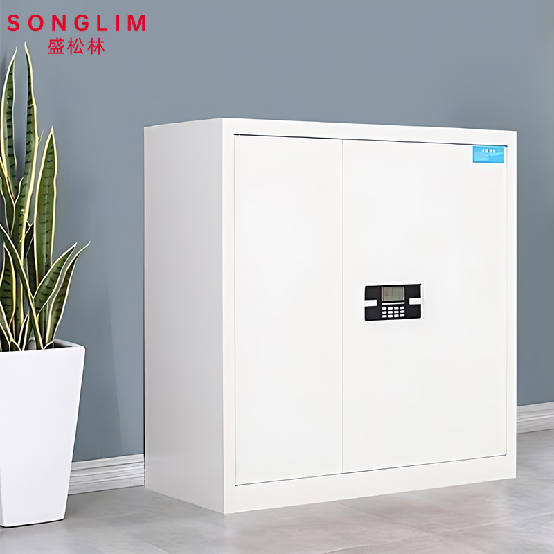 SONGLIM 盛松林 保密柜 单节带斗 个