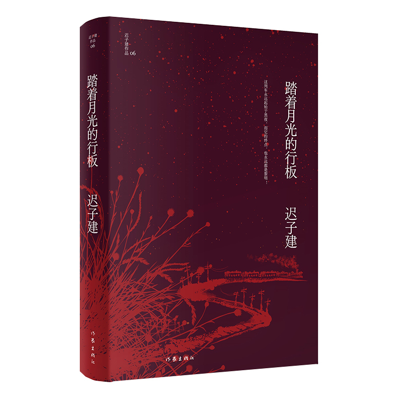 [正版] 踏着月光的行板 迟子建作品 茅盾文学奖 鲁迅文学奖 四个各具魅力的情爱世界 当代文学短篇小说故事集书 作家