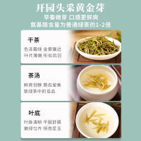 2022新茶上市麓雨天目湖黄金芽 明前特级开园头采溧阳黄金茶江苏常州茶叶礼盒装高档送礼200g