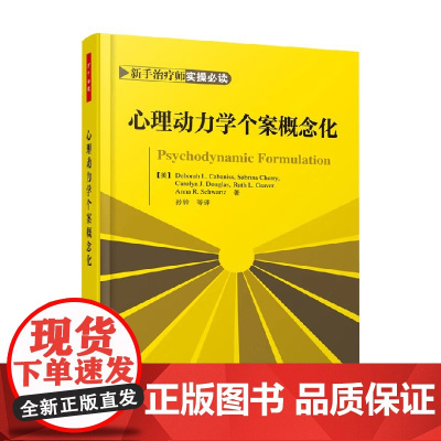 新手治疗师实操必读 心理动力学个案概念化 Deborah L. Cabaniss 著 心理学