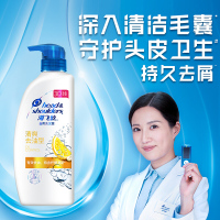 海飞丝洗发水套装清爽去油洗发水500ml*2赠致美洗发露80ml (去屑止痒控油洗发液洗护套装洗头膏 清爽柔顺苏宁自营)