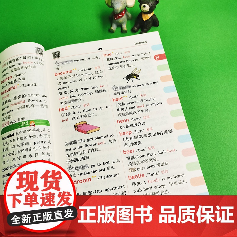 小学生多功能英汉大词典 2024 专属小学生英语大词典 超大开本 彩图大字印刷 多功能 小学通用版高清大图
