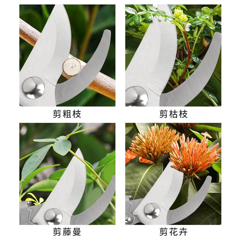 不锈钢树枝修枝剪采摘水果花木剪园林果树花卉枝嫁接园艺剪刀工具高清大图
