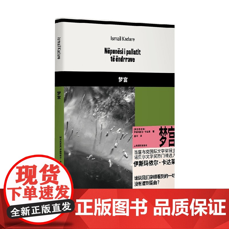 梦宫 伊斯玛依尔·卡达莱 著 小说高清大图