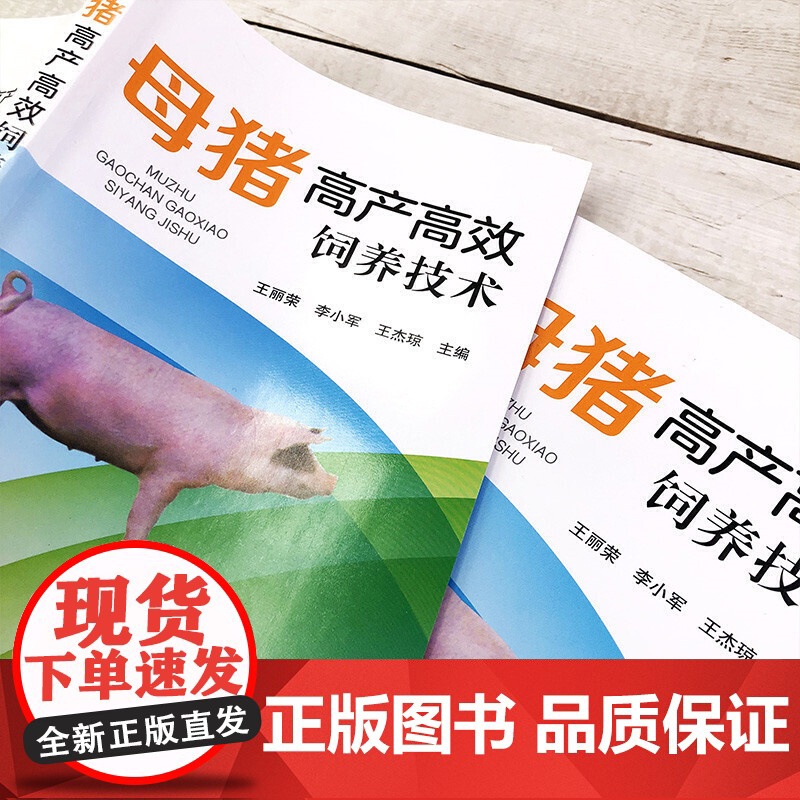 母猪高产高效饲养技术 王丽荣 化学工业出版社 正版书籍高清大图