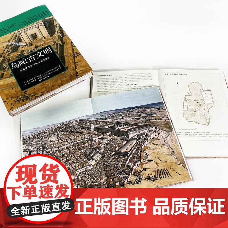 [央视网]鸟瞰古文明 重游古埃及 纵贯3000年古埃及史 古代城市遗址复原图建筑考古 建筑历史世界史收藏画册书籍 HL高清大图