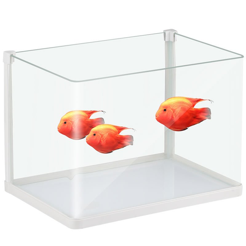 热弯鱼缸免换水生态鱼缸小型水族箱超白玻璃桌面水缸家用