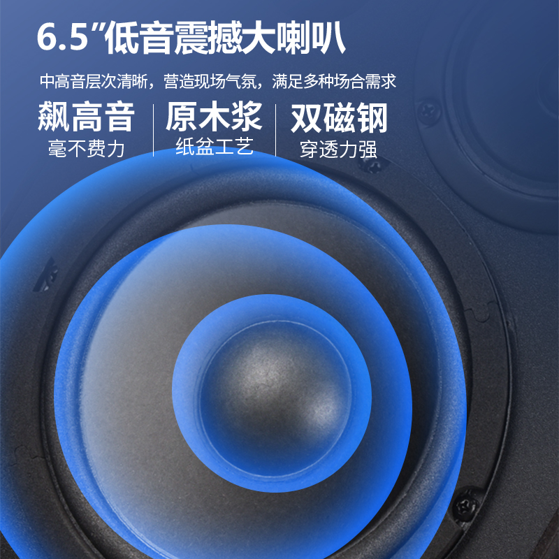 夏新(AMOI)卡包音箱 SA-09家庭影院KTV音响含功放音响支架音响线10米不含麦克风高清大图