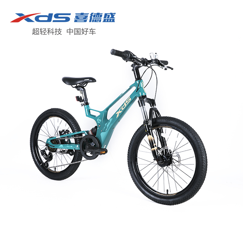 XDS喜德盛镁驰20寸高清大图