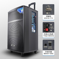 先科 (SAST) SA- 122英寸广场舞音响 蓝牙拉杆音箱 彩灯户外便携式音响大功率低音炮KTV 扩音器带无线麦克风