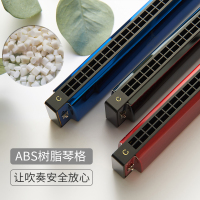 天鹅口琴初学者学生成人儿童24孔复音c调专业演奏级入门自学乐器