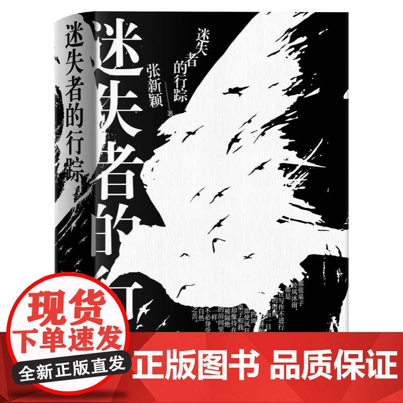 迷失者的行踪 张新颖著作上海文艺出版社中国现当代文学正版图书籍高清大图
