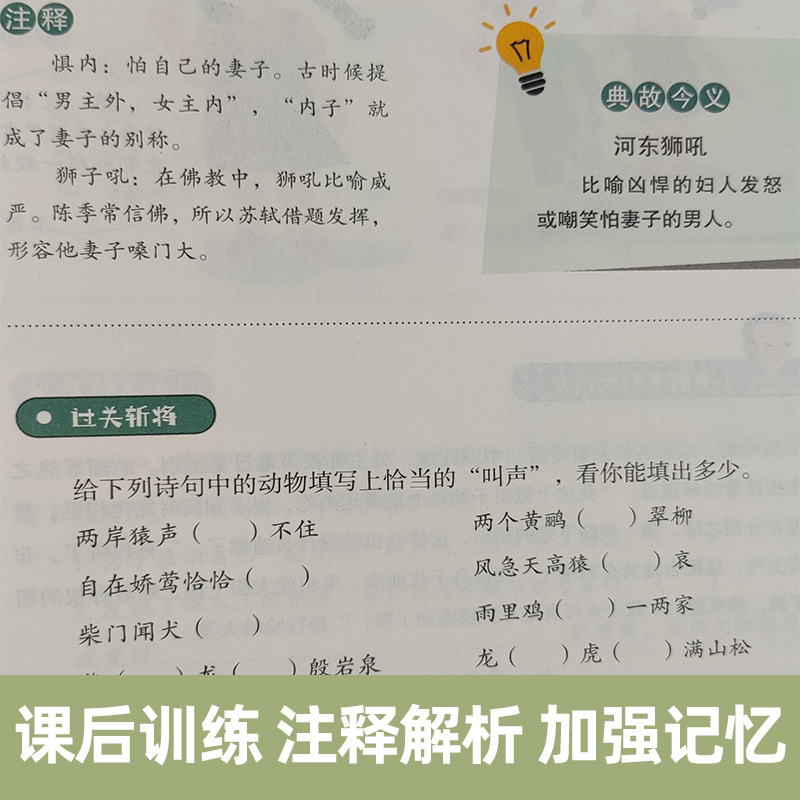 [2册装]小学生小科普100课 [正版]朱文君小学生小古文101课上下2册小古文100课姐妹篇非小巴掌散文一百课篇散文读