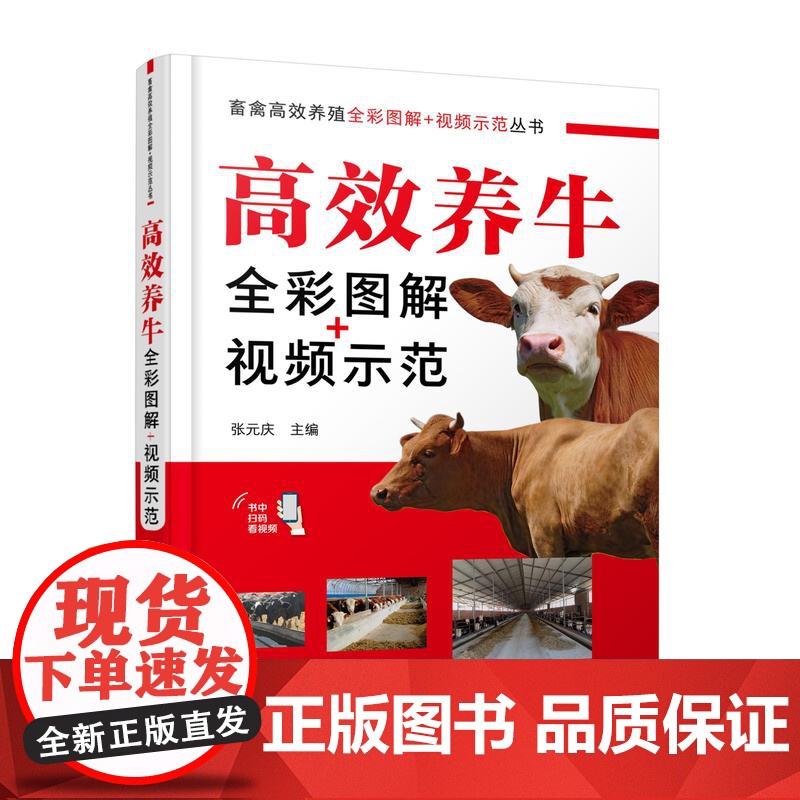 高效养牛全彩图解+视频示范 张元庆 编 9787122411518 畜禽高效养殖全彩图解+视频示范丛书 化学工业出