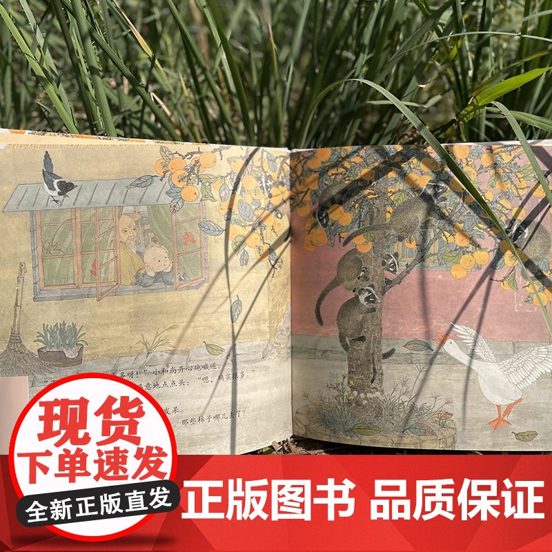 柿柿如意高清大图