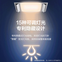 科勒集成吊顶五合一风暖机照明排气一体暖风浴室多功能浴霸21466