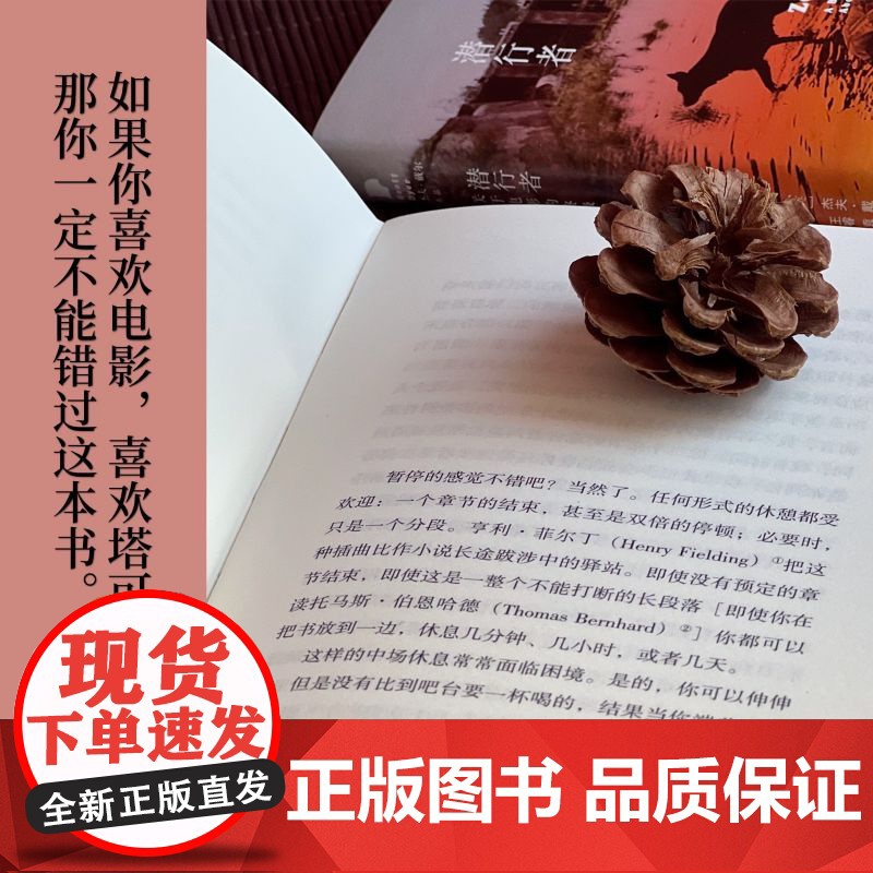 潜行者:关于电影的之旅(杰夫·戴尔作品系列)高清大图