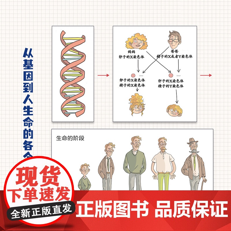 少儿.人体是如何工作的 精装 万物由来的秘密少儿百科全书6-12岁百问百答儿童十万个为什么小学版图书身边的科学小学生书籍高清大图