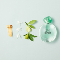 Giorgio Armani阿玛尼新寄情女士浓香水100ml