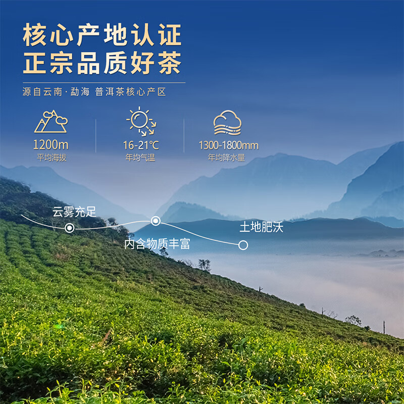 忆江南 特级普洱茶叶礼盒送人180g云南熟普散茶送父母长辈礼物高清大图