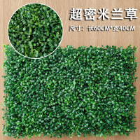 绿植墙仿真植物草坪墙 616超密米兰草