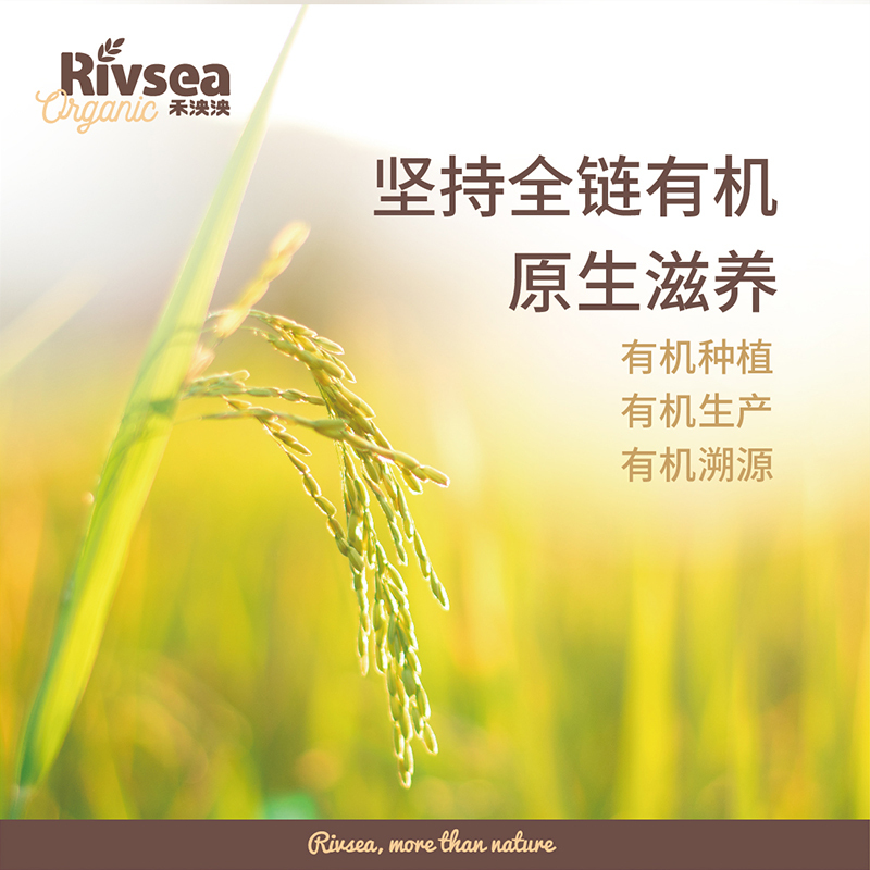 禾泱泱(Rivsea)有机泡芙条南瓜味20克 盒装米饼婴幼儿饼干6个月以上适用宝宝零食 点心
