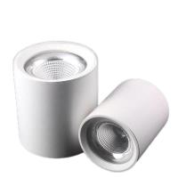 鑫彪LED明装筒灯CYTD-60W/盏