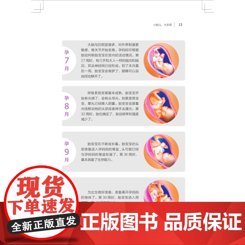 备孕怀孕坐月子营养调理百科每周一读将饮食营养与胎宝宝发育、孕期及产后调养相结合高清大图
