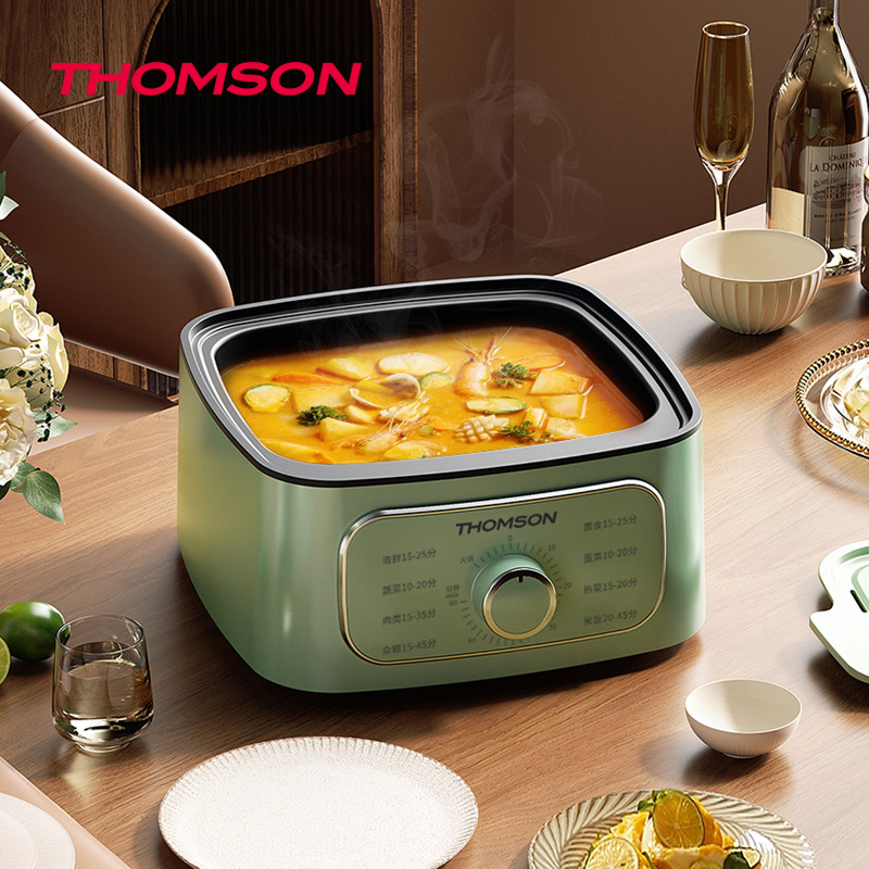 汤姆逊 C-T031025 多功能电蒸锅高清大图
