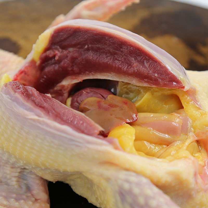 农谣 老鸽子2只装 新鲜老鸽子肉 杀前净重约1050g 农家散养 现杀现发