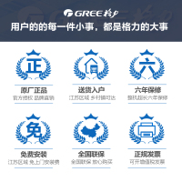 格力(GREE) 大1匹 变频1级 冷暖 挂机空调 润铂 KFR-26GW/(26553)FNhCb-A1 奢华金