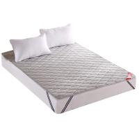 心语一家(XYYJ)保护垫榻榻米软垫被家用 JH