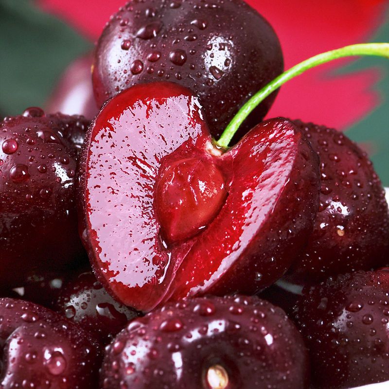 赛卡伊顺丰次智利车厘子水果新鲜大樱桃235特大整箱批发百亿视频