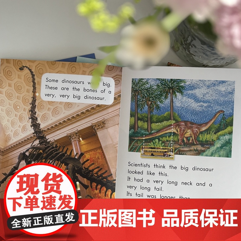 新东方 海尼曼英语分级阅读G2(全套3盒120册)四年级~初一适用高清大图
